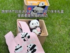 -成都大熊猫繁育研究基地
