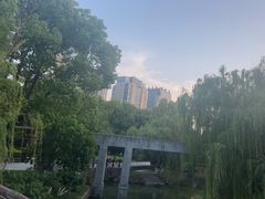 -桐乡植物园