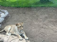 -北京野生动物园