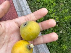 -火啫啫·粤式啫啫煲(南京弘阳店)