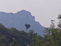 -伏羲山旅游区