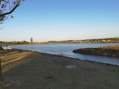 -春花秋色城市公园