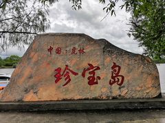-珍宝岛