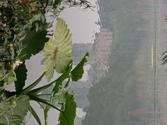-重庆彩云湖湿地公园