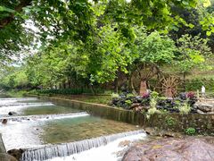 -广州白江湖森林公园