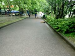 -李公堤
