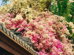 -深圳国际园林花卉博览园