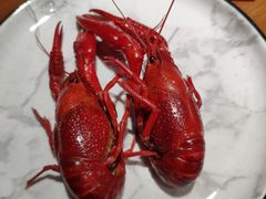 -0574龙虾的故事(东裕店)