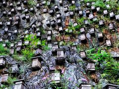 -神农架景区