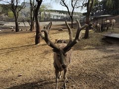 -沈阳森林动物园