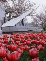 -玄武湖景区-情侣园游乐场