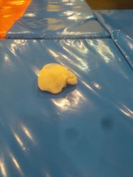 -多奇妙乐园·淘气堡·电玩·抓娃娃(海口吾悦店)