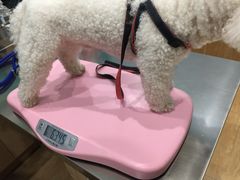 -瑞派名望24h动物医院异宠专科·猫专科·骨科·重症监护分院