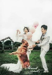 -金夫人婚纱摄影(华南店)