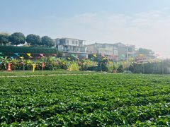 -南国桃园旅游度假区