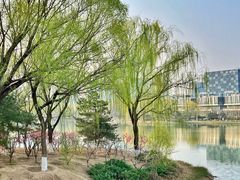 -大兴滨河森林公园