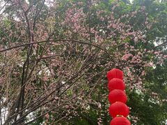 -乌山风景区