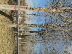 -紫轩葡萄酒庄园