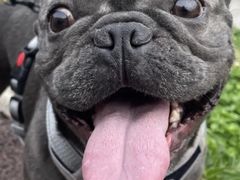 -爱妮康宠物医院·干细胞免疫细胞·肿瘤·心脏(张江店)