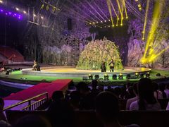 -灵玲国际马戏城