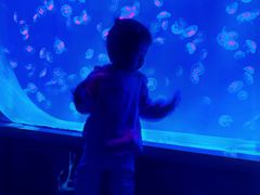 -沈阳海洋探索中心