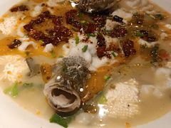 鲜椒豆花鲈鱼-川味堂·四川豆花(八卦岭店)