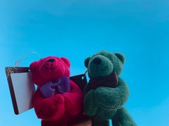 -济州岛泰迪熊博物馆