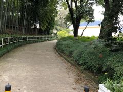 -上海市保健医疗中心(华东疗养院)