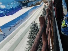 -世界之窗阿尔卑斯冰雪世界