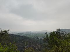 -树山生态村