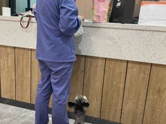 -半岛宠物医院24小时·内窥镜·牙科·碎石中心(府城大道店)