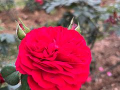 -人民公园(罗湖区)