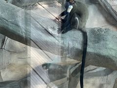 -武汉动物园
