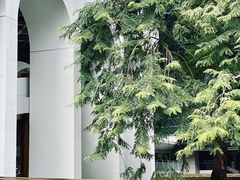 -尼依格罗香港美利酒店