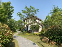 -同里国家湿地公园