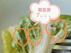 -Terra Rossa(陆家嘴中心店)