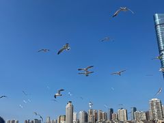 -星海广场