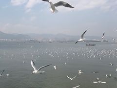 -老宅子私房菜馆(大理古城店)