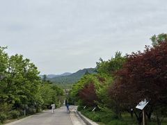 -北京鹫峰国家森林公园