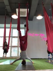 -桃秘钢管舞Peach Pole Fitness