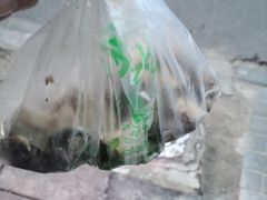 -洪记白水羊头(留学路店)