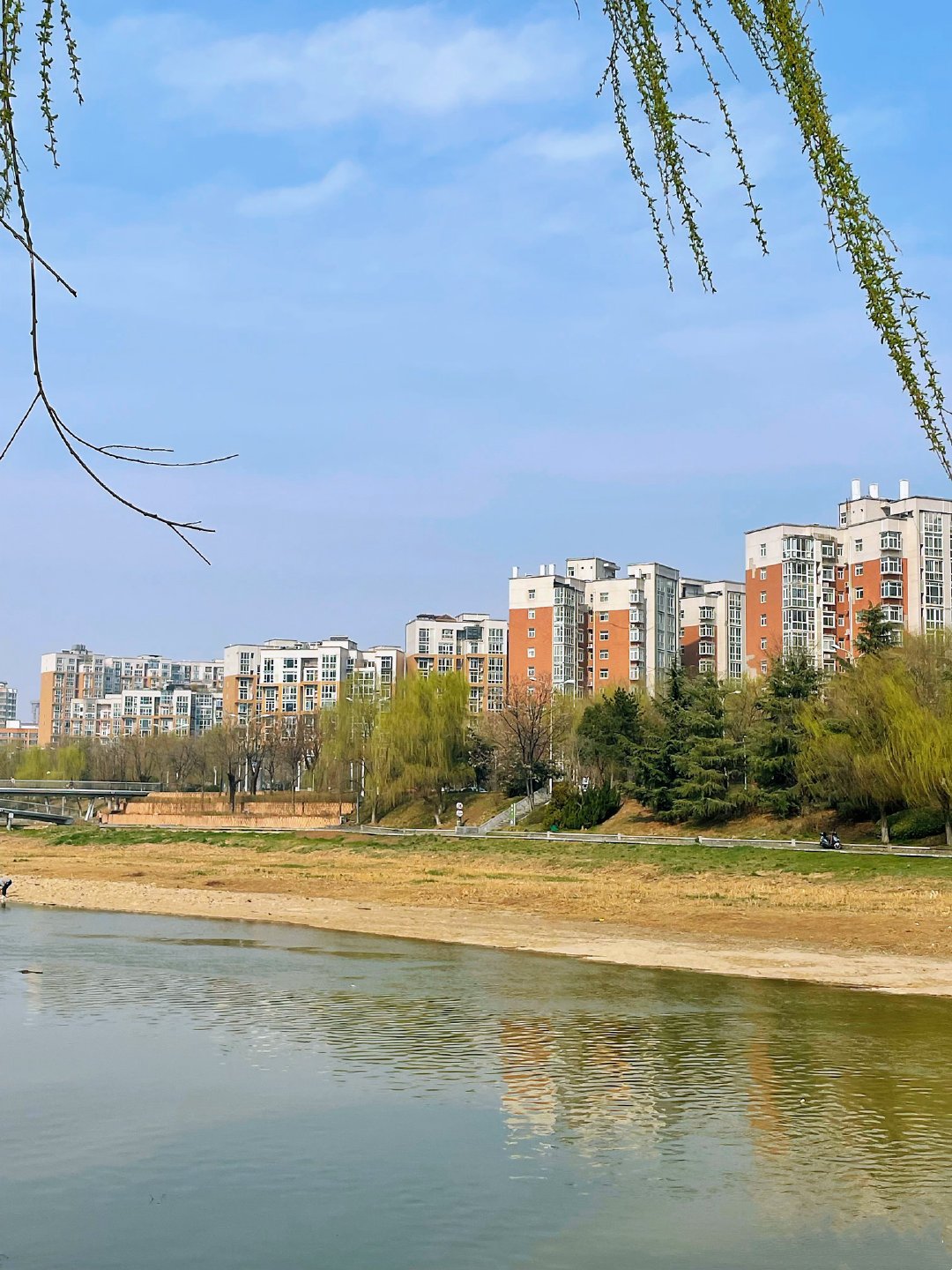 浐灞湿地公园照片图片