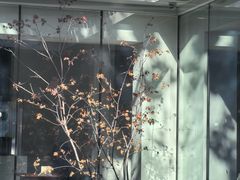 -自如ZSPACE四合院艺术餐厅