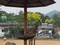 -大连森林动物园