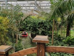 -南宫五洲植物乐园