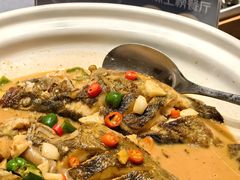 小桂鱼仔-春天来了(印象新天地店)