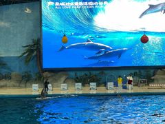 -泉城欧乐堡海洋极地世界