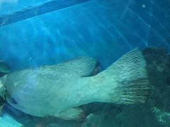 -苏州海洋馆