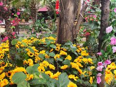 -园林美食城·本土农家菜(杨和镇店)