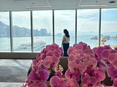 -海港城